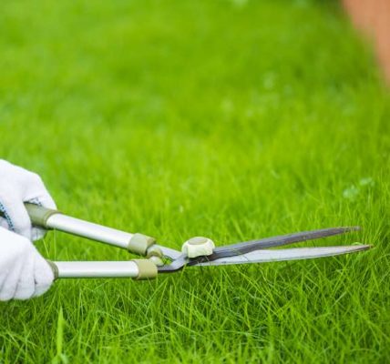 Wiosenne techniki regeneracji trawnika – jak stymulować wzrost trawy przez aerację i wertykulację