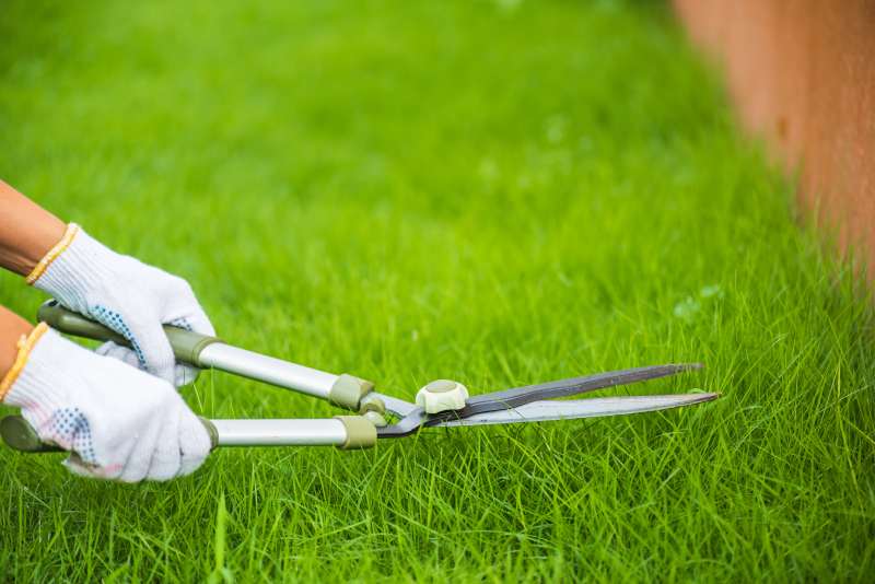 Wiosenne techniki regeneracji trawnika – jak stymulować wzrost trawy przez aerację i wertykulację