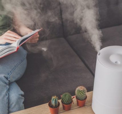Jak utrzymać właściwą wilgotność w pomieszczeniach przy użyciu nawilżacza i jonizatora powietrza