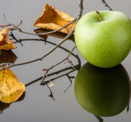 Ochrona jabłoni przed szkodnikami Metody zwalczania niebezpiecznych intruzów w sadzie