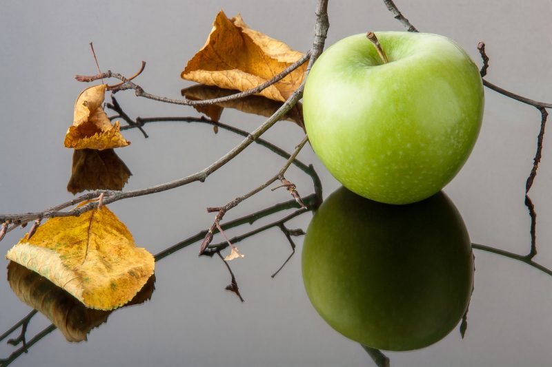 Ochrona jabłoni przed szkodnikami Metody zwalczania niebezpiecznych intruzów w sadzie